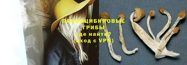 ГАЛЛЮЦИНОГЕННЫЕ ГРИБЫ Абаза