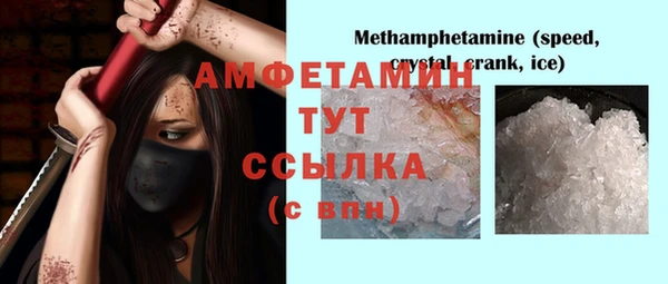 ГАЛЛЮЦИНОГЕННЫЕ ГРИБЫ Абаза