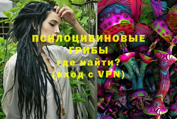 spice Надым