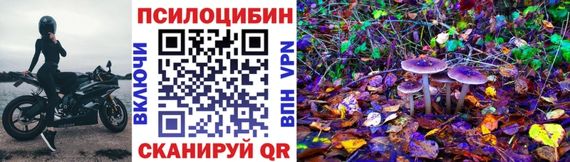 гидра рабочий сайт  Новая Усмань  Галлюциногенные грибы Cubensis 